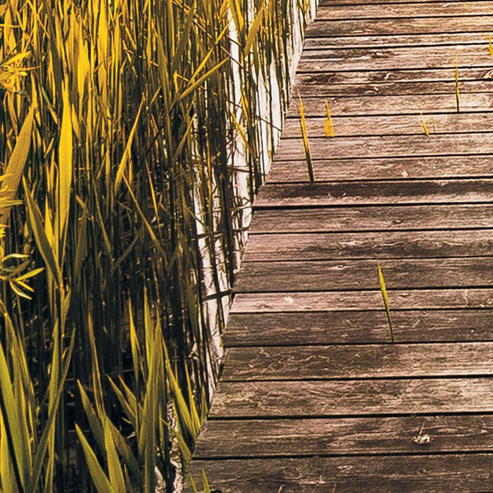 Lakeside