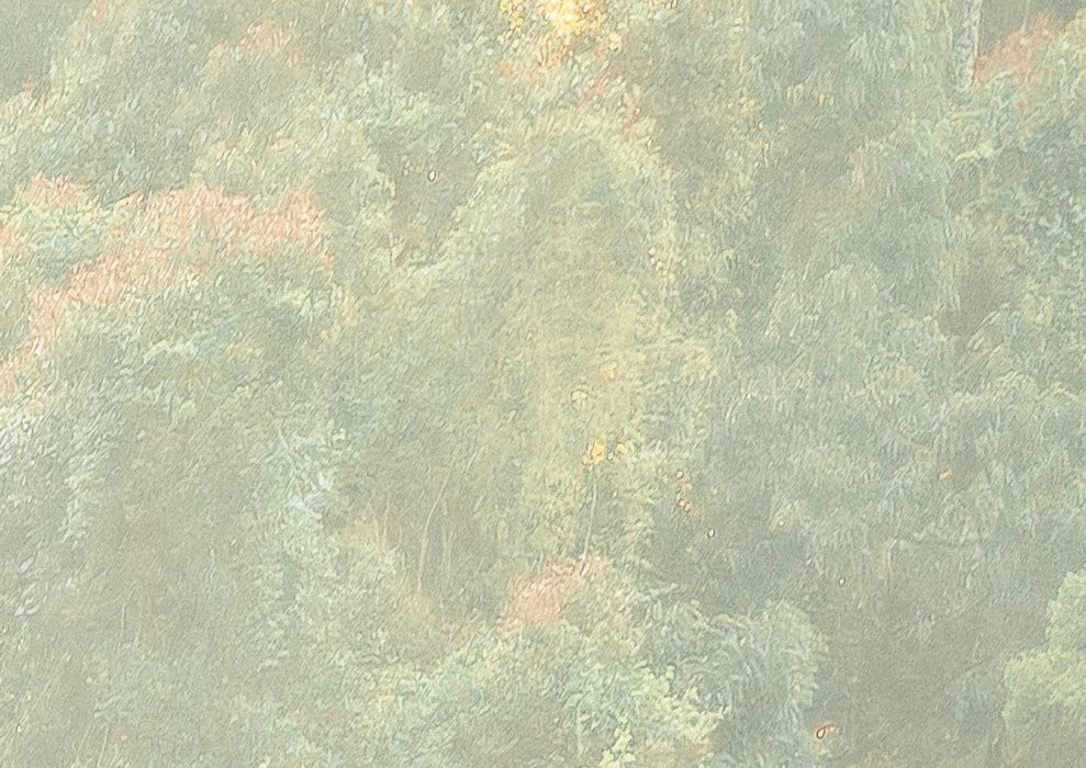 Madagascar Jungle