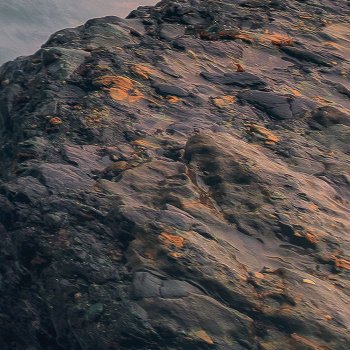 Cry of the Sea