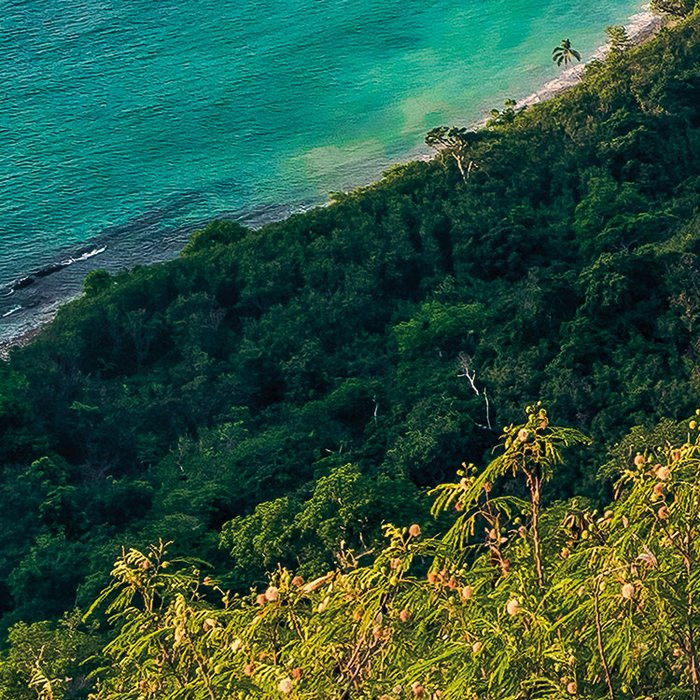 Monkey Island