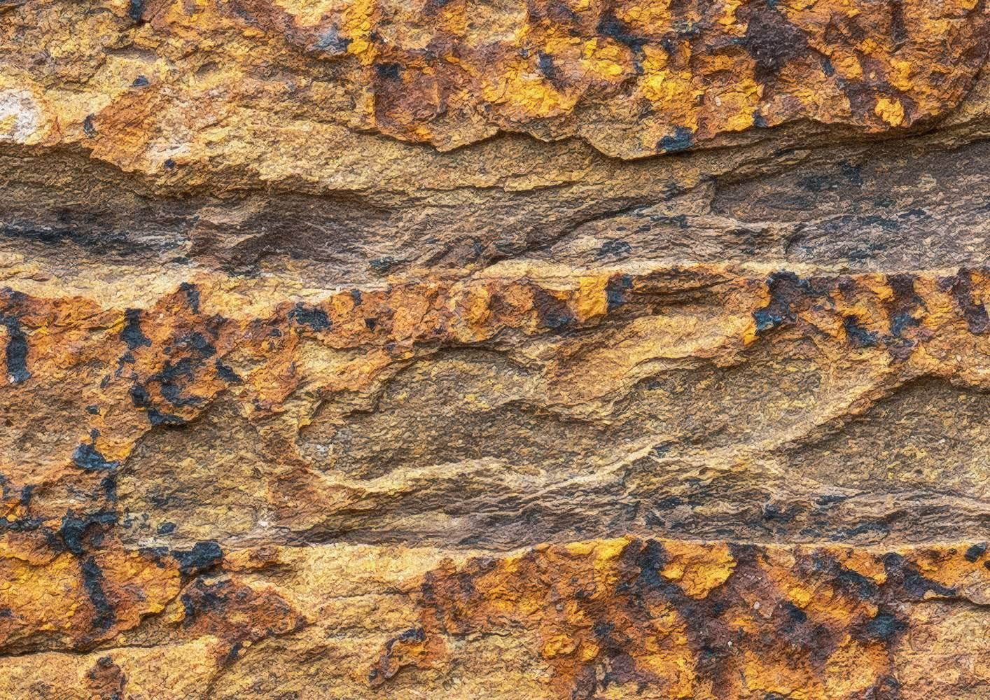 African Wall I