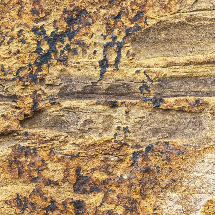 African Wall I