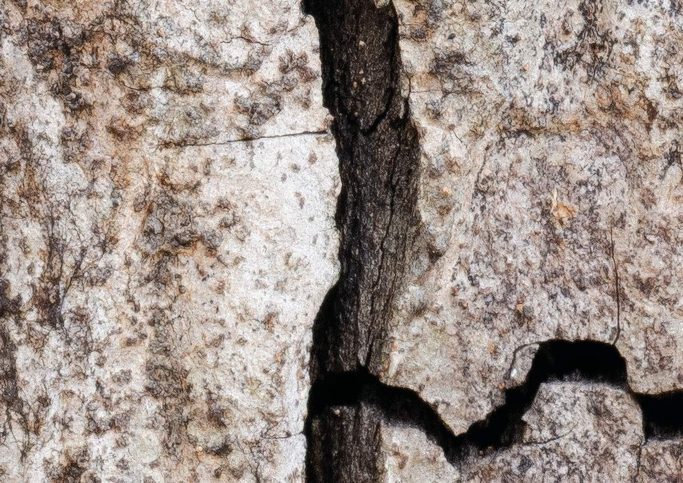 African Wall XIX
