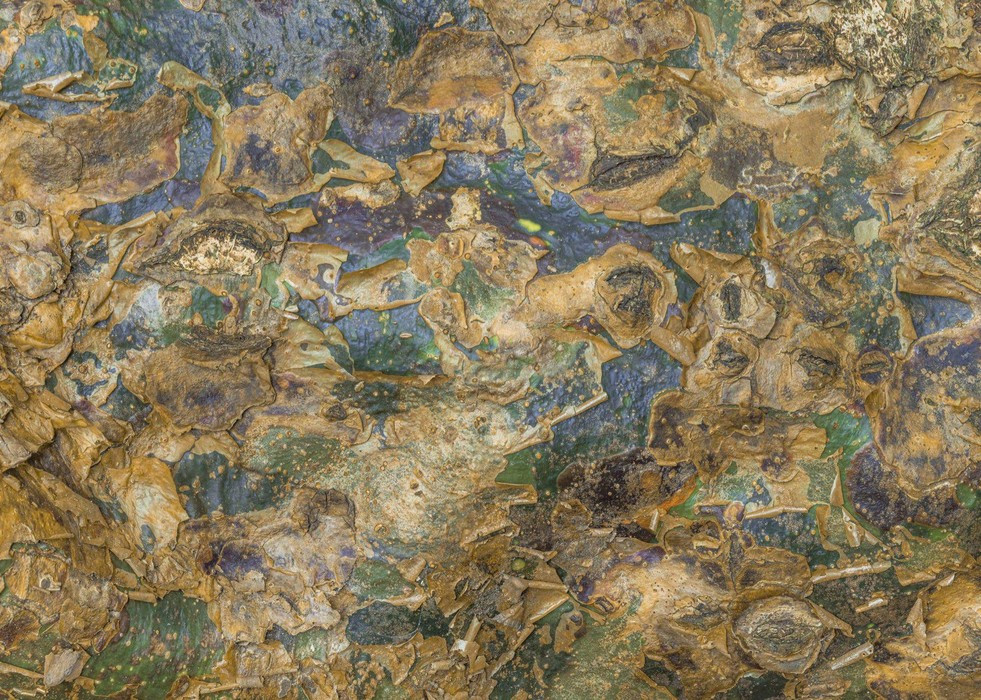 African Wall XVI