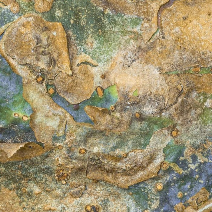African Wall XVI