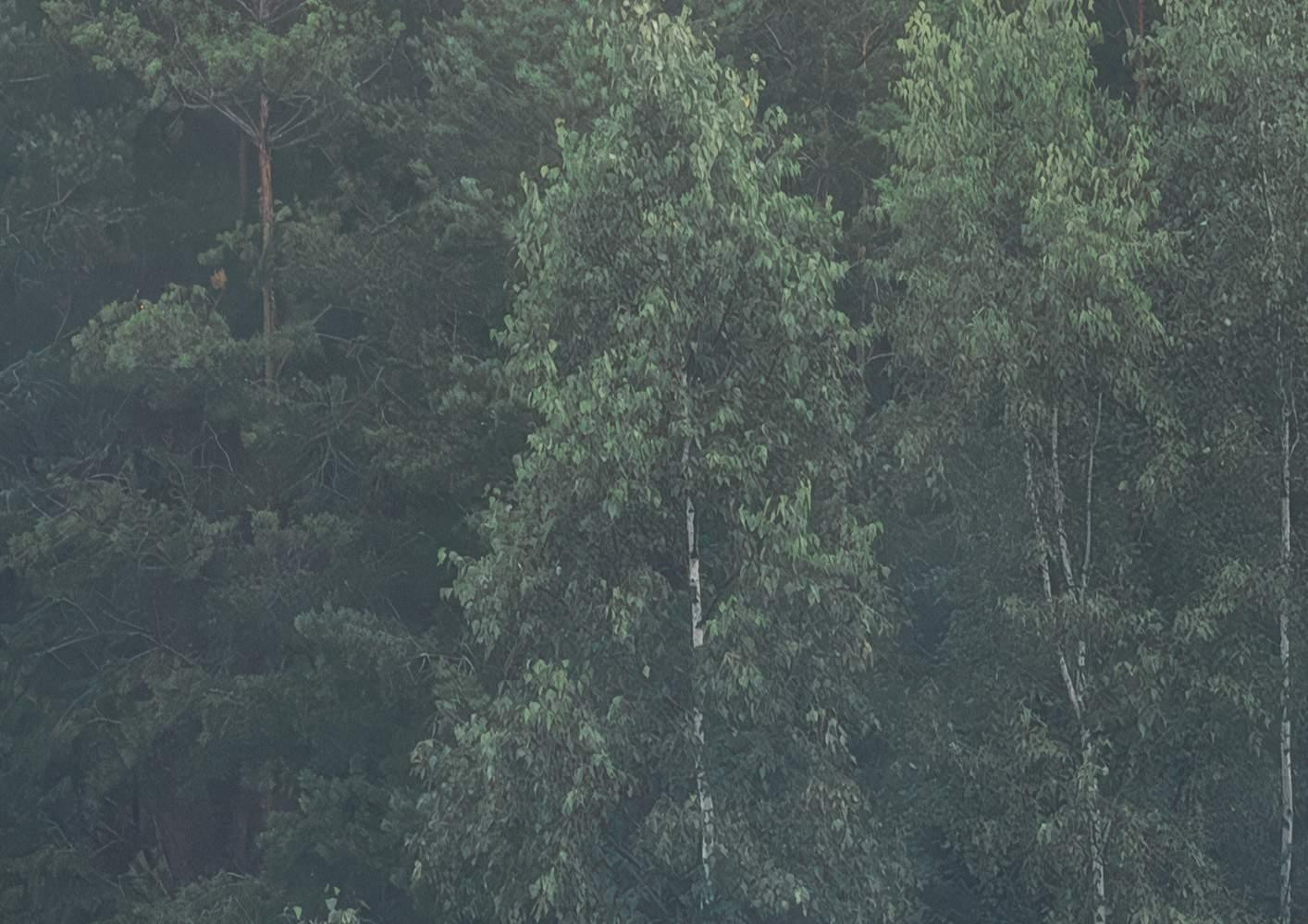 Scandi Wall