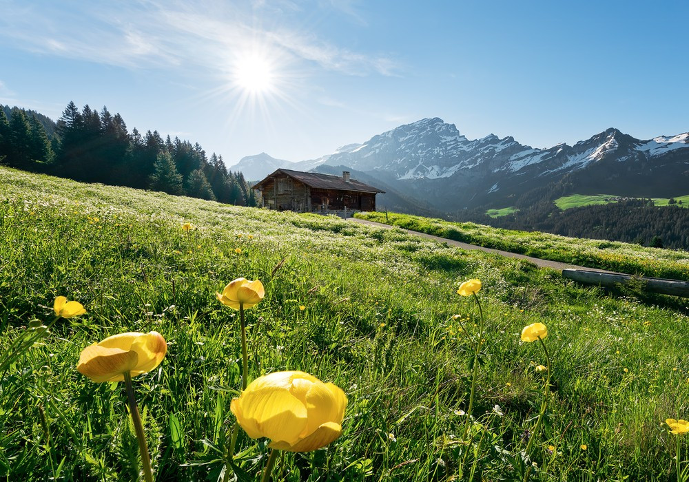 Alpenglück