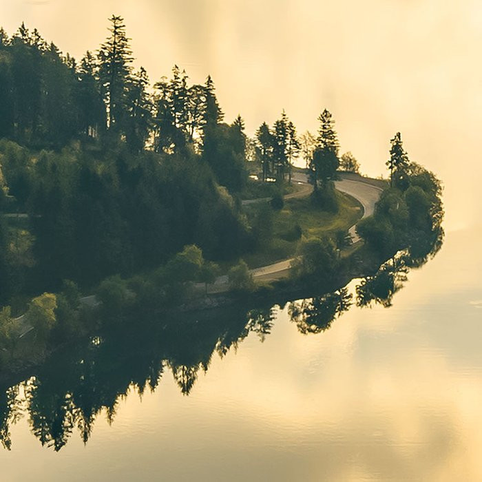 Gold Mountains