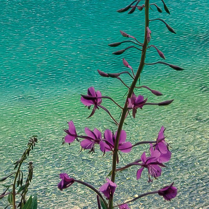 Dolomitenjuwel