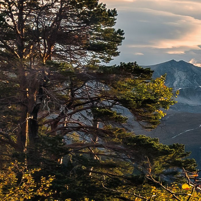 Norwegische Herbstwelten
