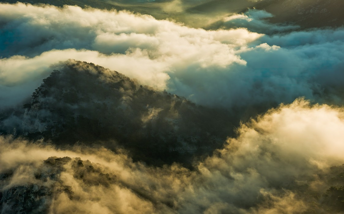 Pangea
