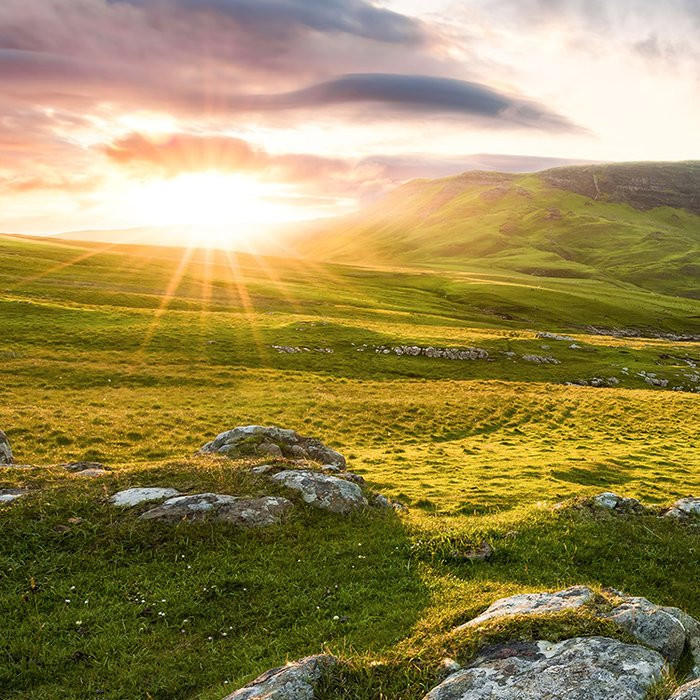 Scottish Paradise