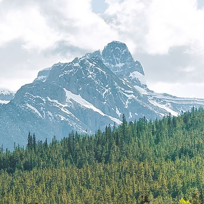 Wild Canada