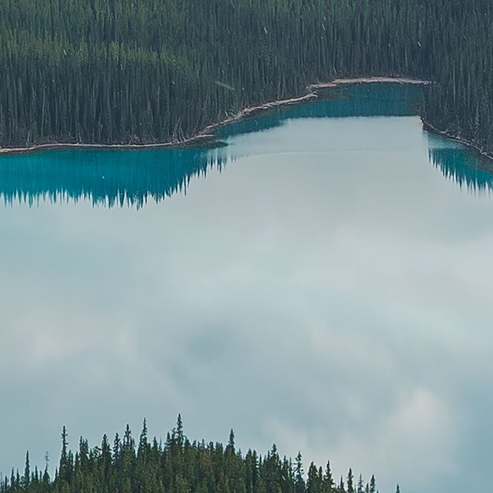Wonderland Canada