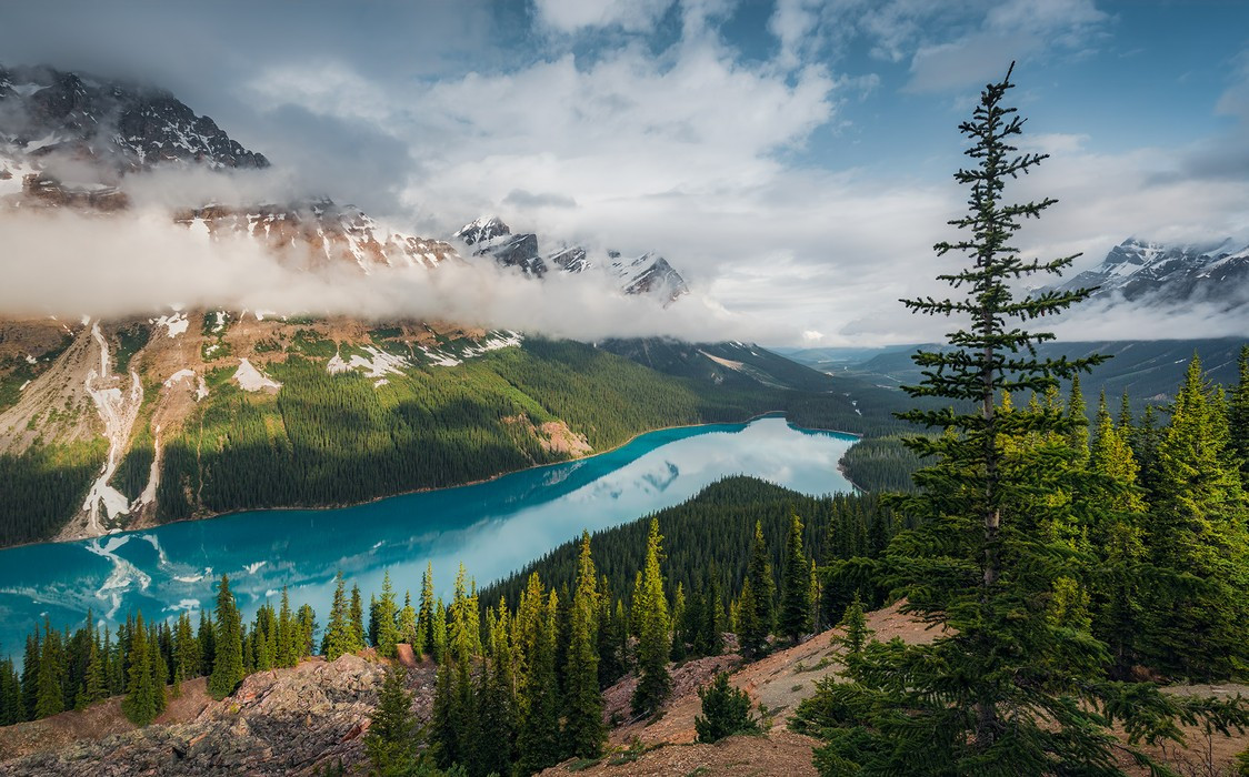 Wonderland Canada