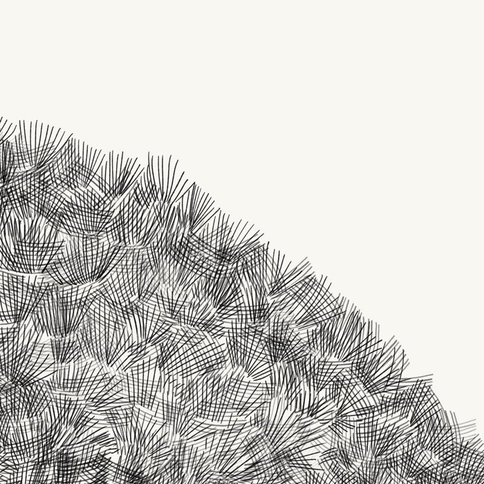 Shoreline