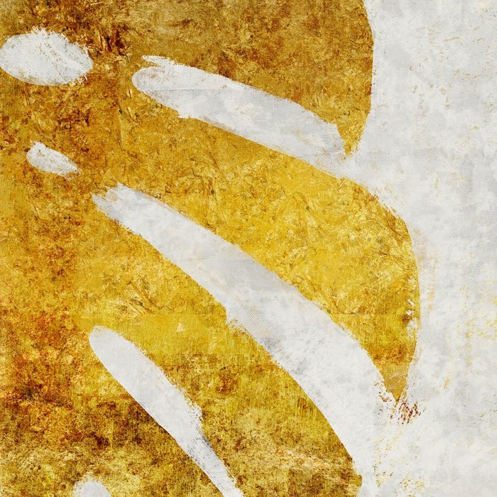 Golden Monstera