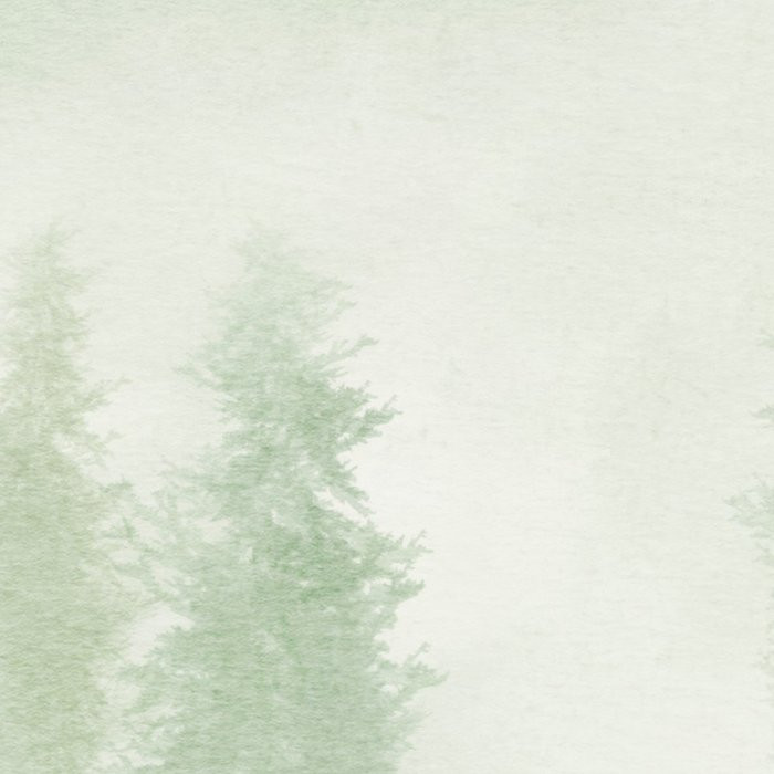 Blurry Woods