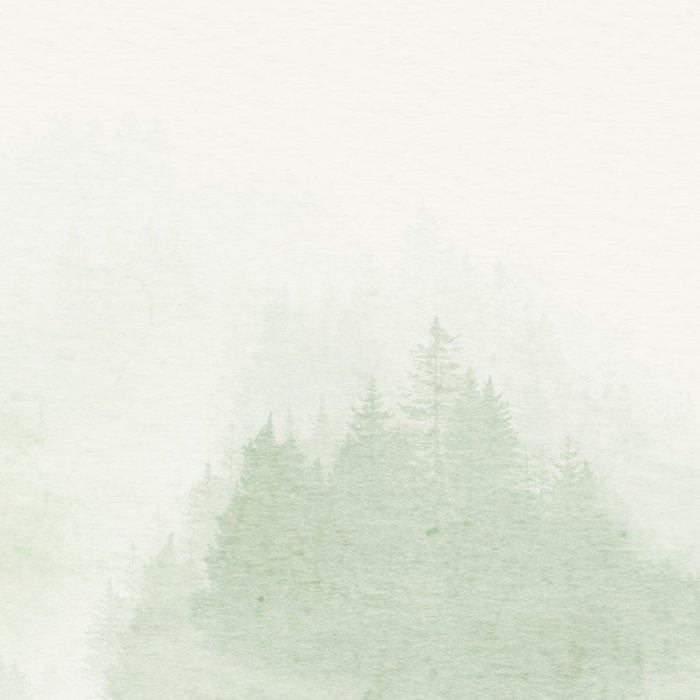 Blurry Woods