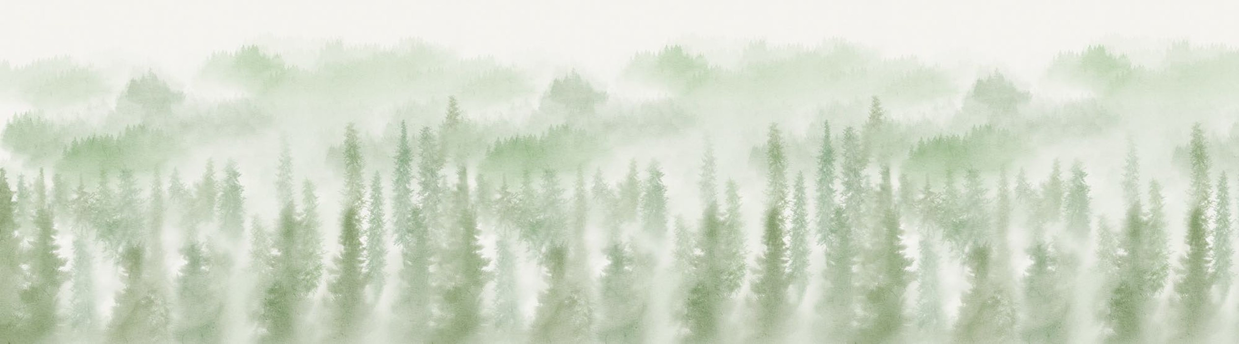 Blurry Woods