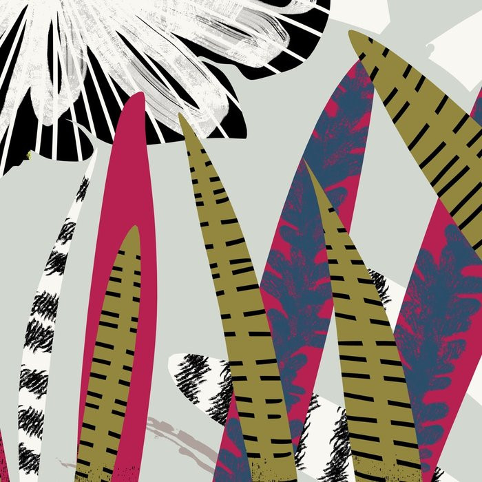 Jolly Jungle