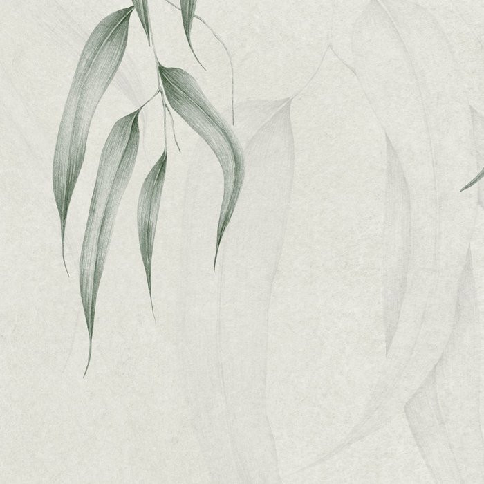 Branches