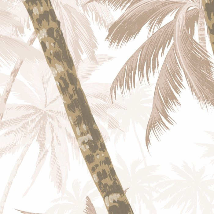 Palmera