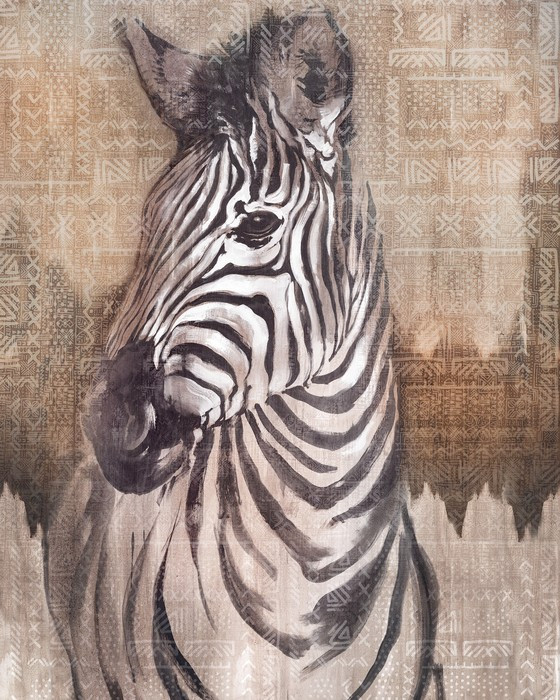 Zebra