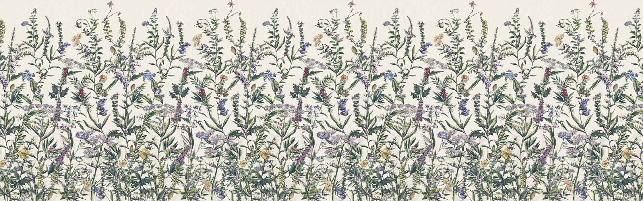 Flowering Herbs