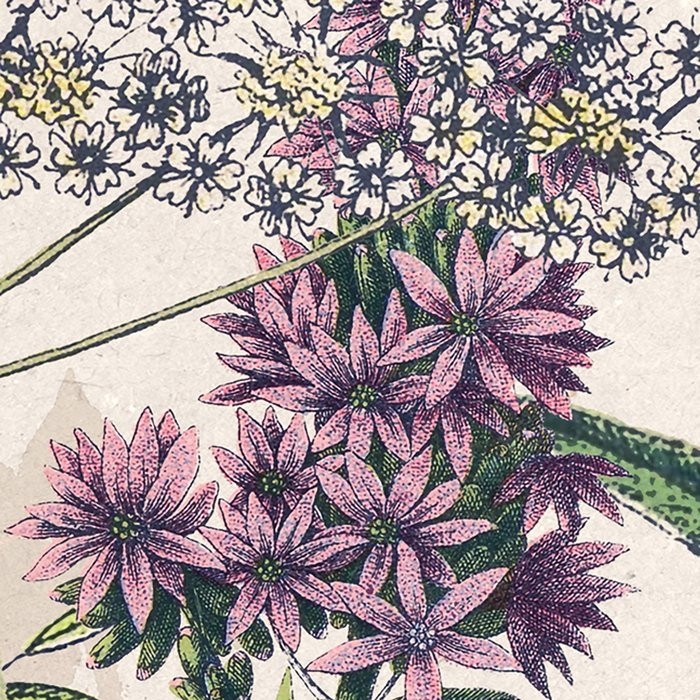 Flowering Herbs
