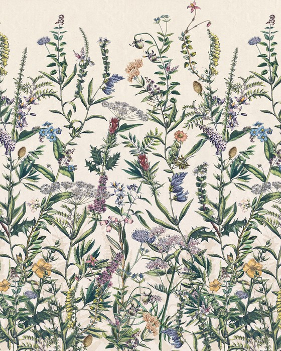Flowering Herbs