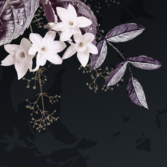 Bouquet Noir
