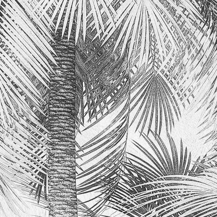 Cocco