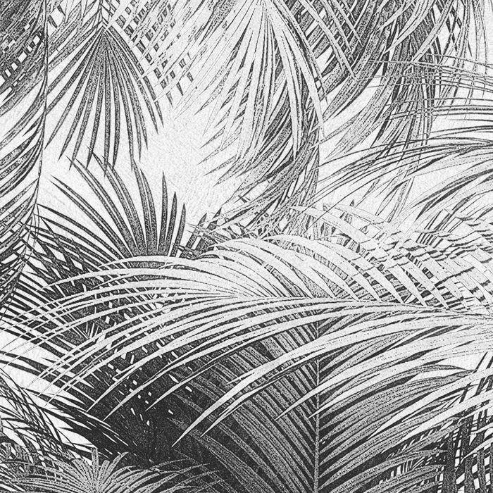 Cocco