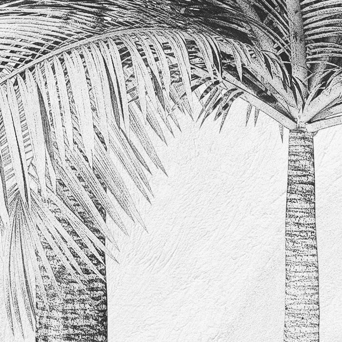 Cocco