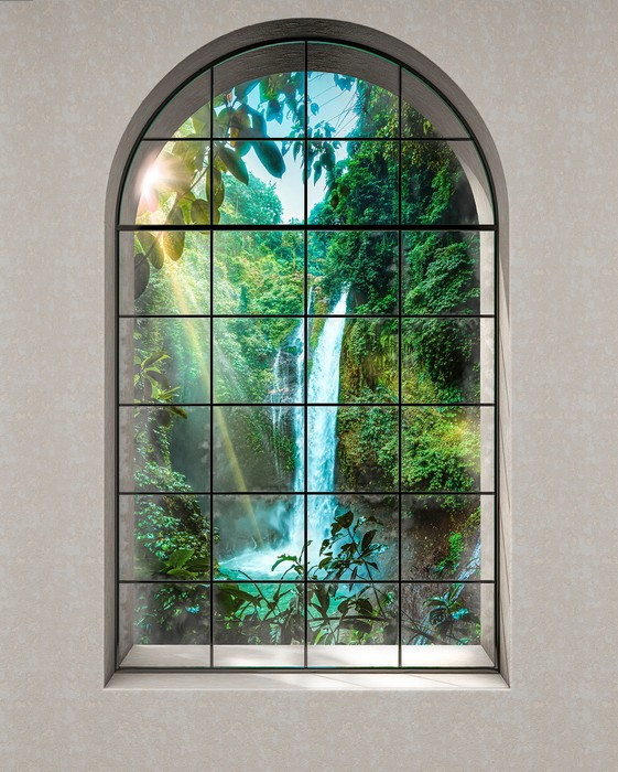 Rainforest