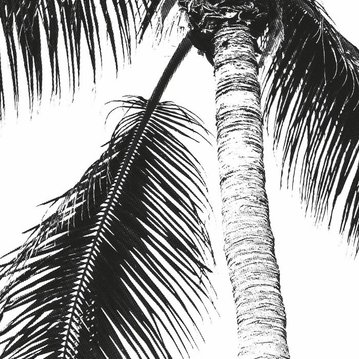 Retro Palm