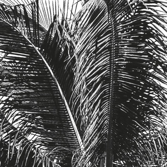 Retro Palm