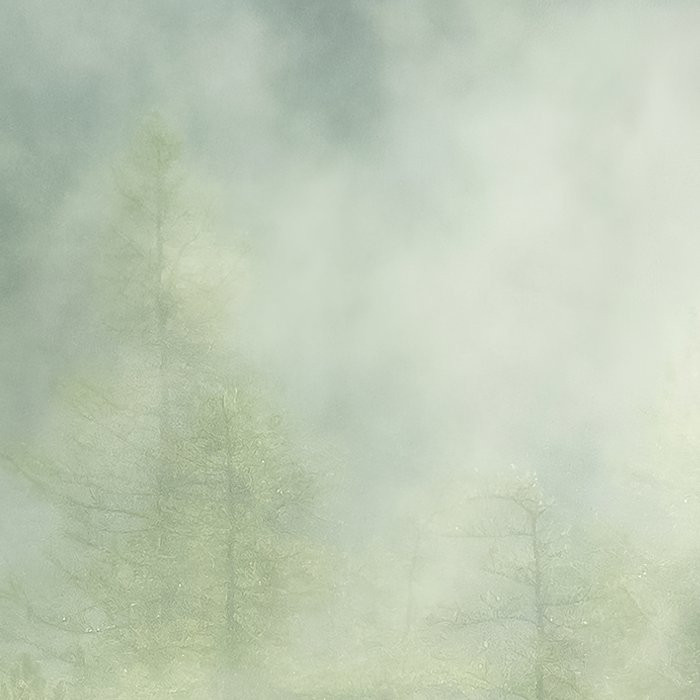 Misty Crowns