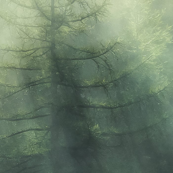 Misty Crowns