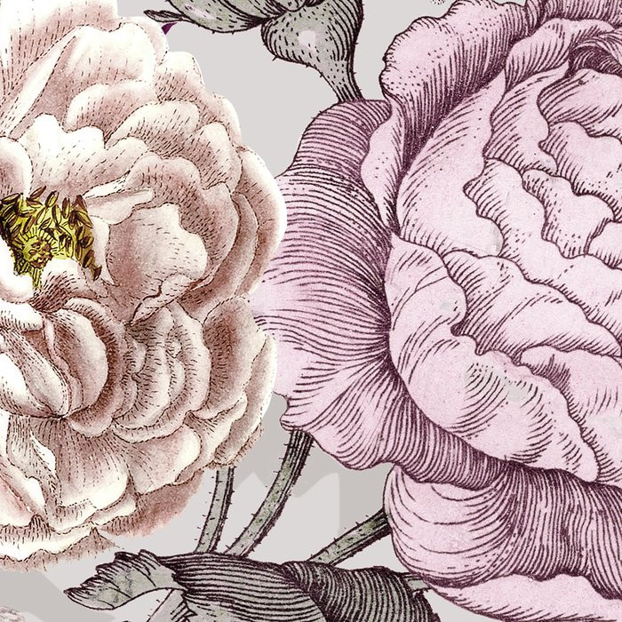 Lovely Blossoms