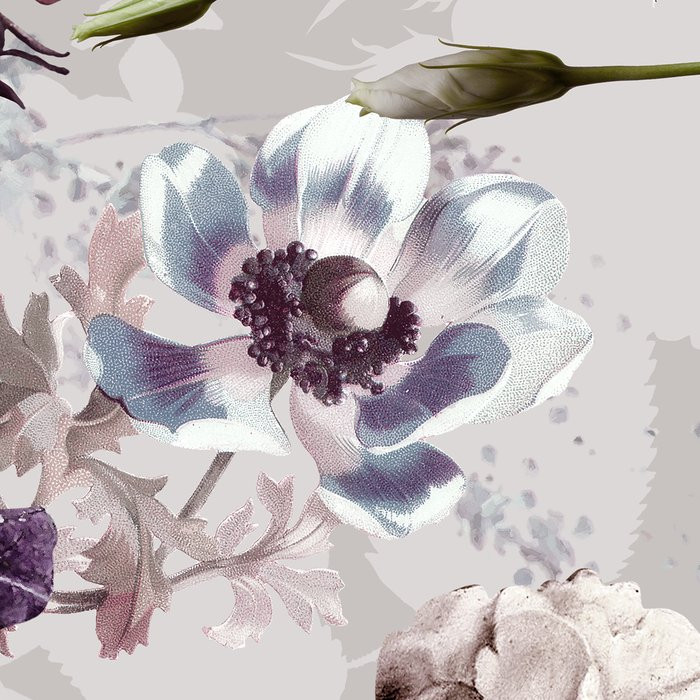 Lovely Blossoms