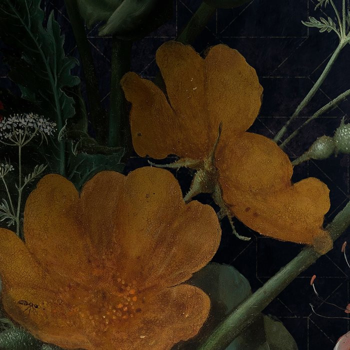 Amsterdam Flowers