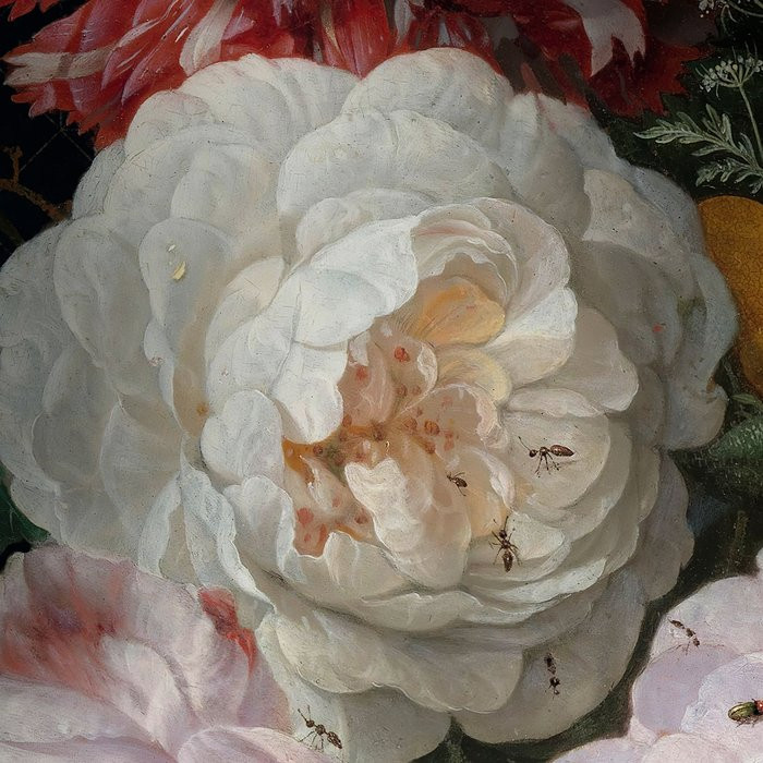 Amsterdam Flowers