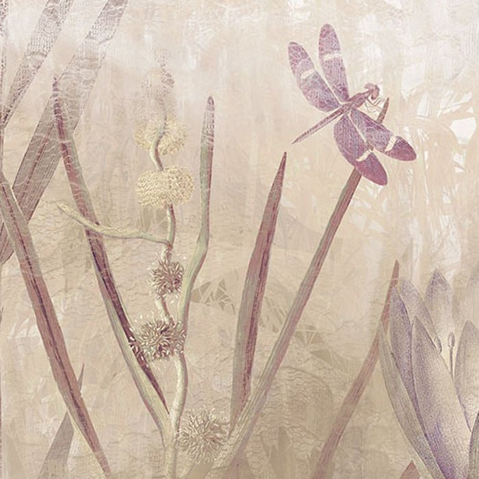 Dragonfly Pond