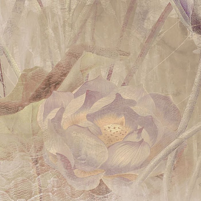 Dragonfly Pond