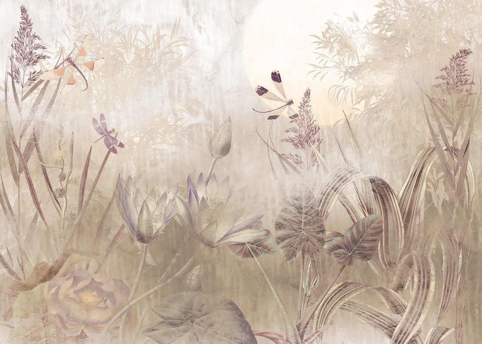 Dragonfly Pond