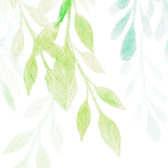 Summer Leaves
