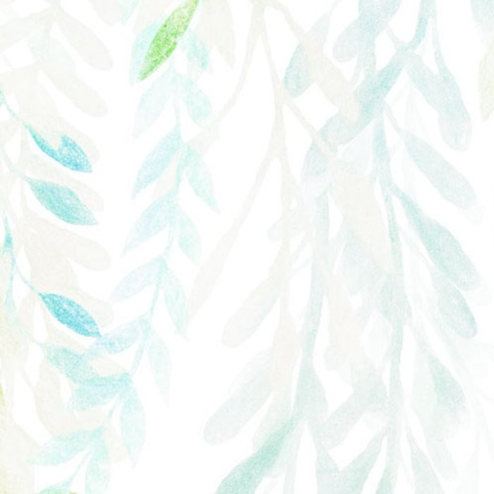 Summer Leaves