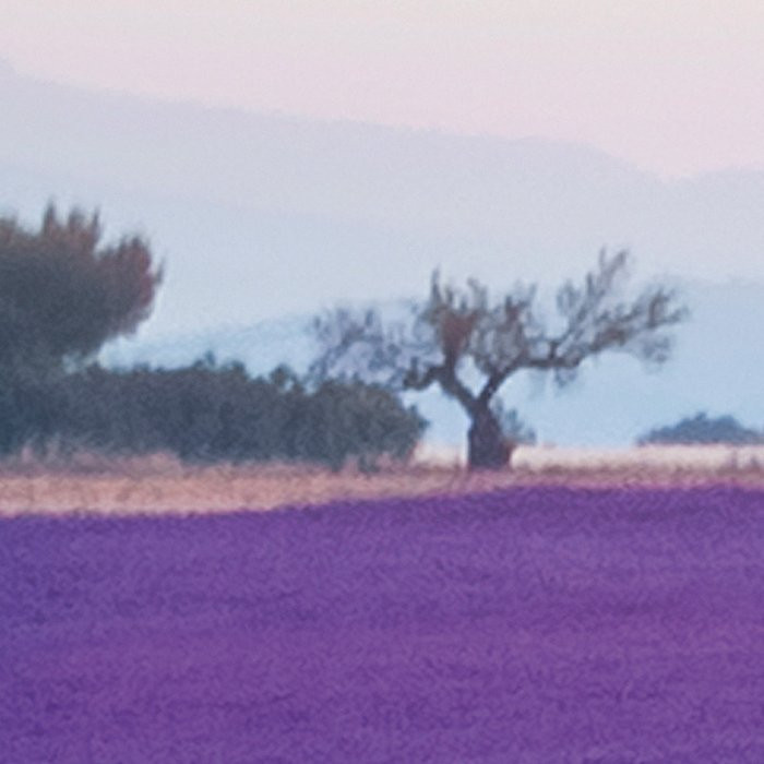 Provence